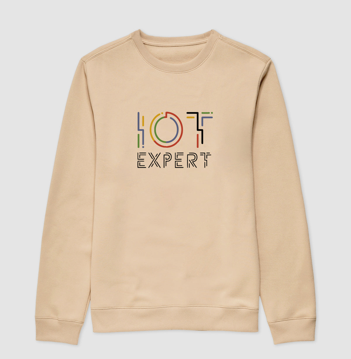 Suéter Moletom IOT Expert