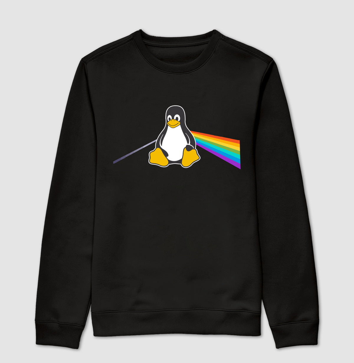 Suéter Moletom Pinguim Floyd